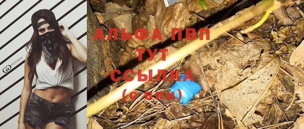 стаф Балахна