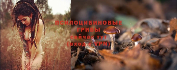 стаф Балахна
