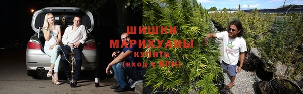 гашик Баксан